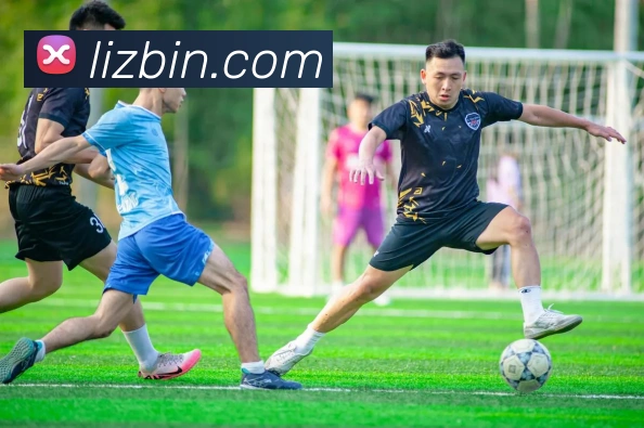 mk官网入口APP 封面图